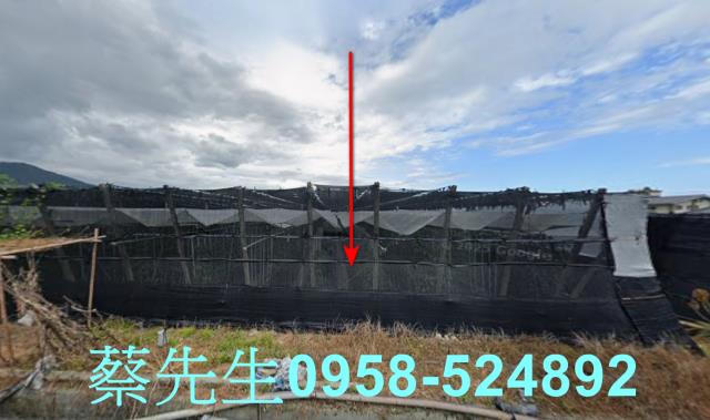 卑南農地拍賣-0