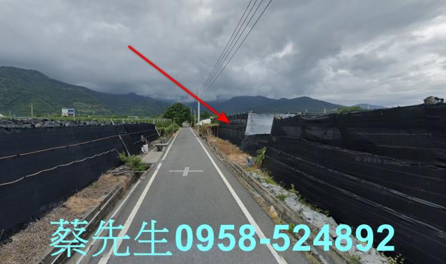 卑南農地拍賣-4