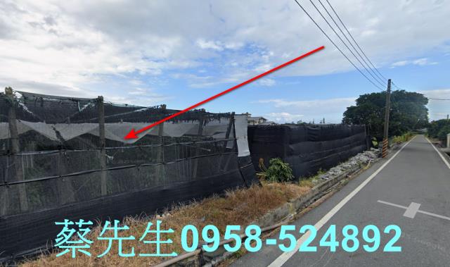 卑南農地拍賣-5