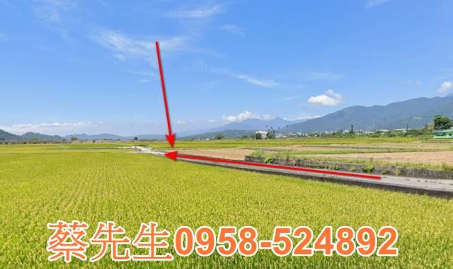 鹿野法拍農地-12