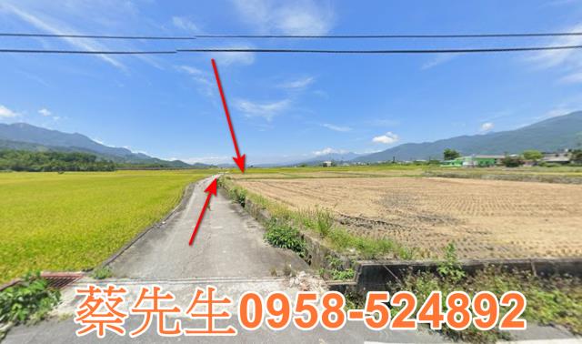 鹿野法拍農地-3