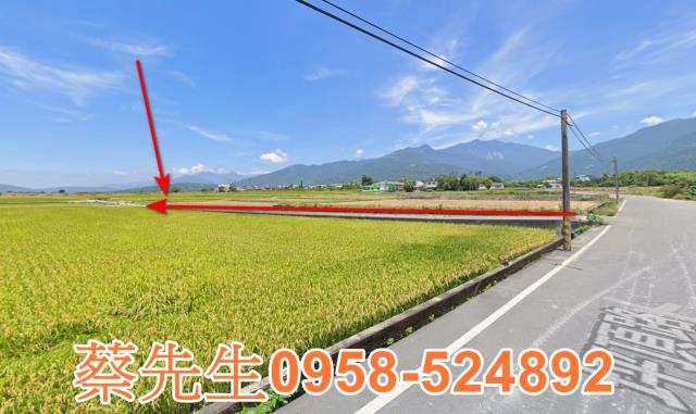 鹿野法拍農地-5