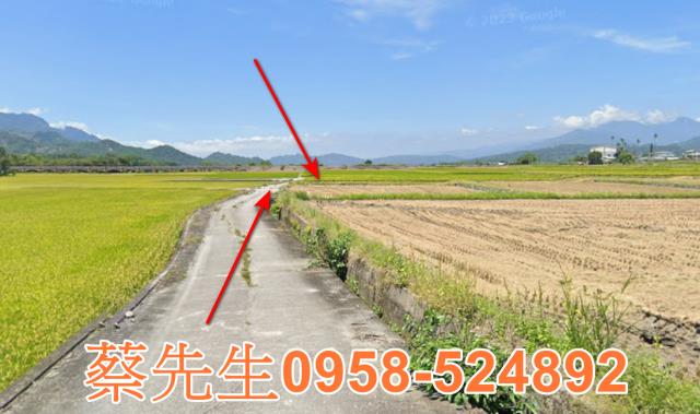 鹿野法拍農地-8