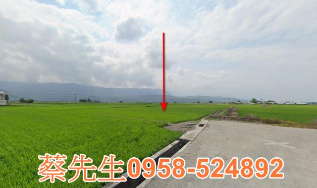 關山農地法拍-11