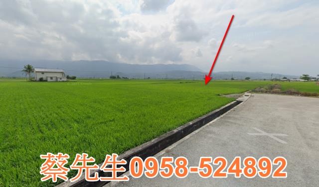 關山農地法拍-12