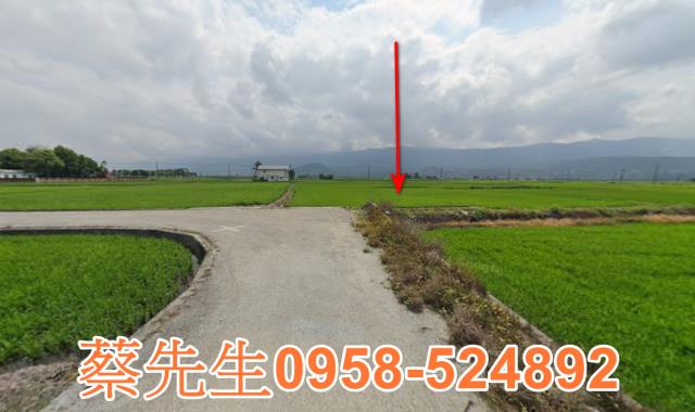 關山農地法拍-14