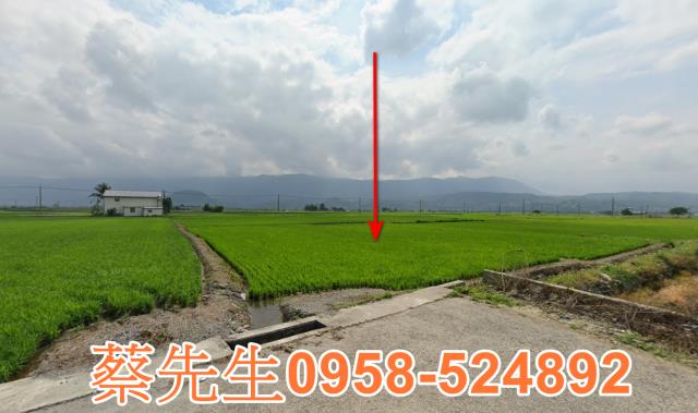 關山農地法拍-0