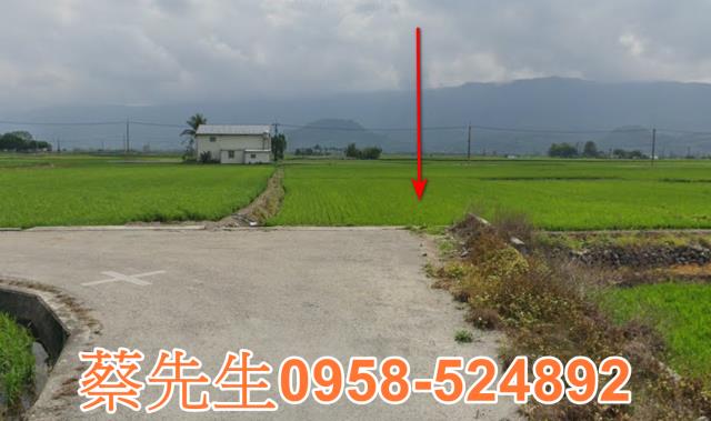 關山農地法拍-5