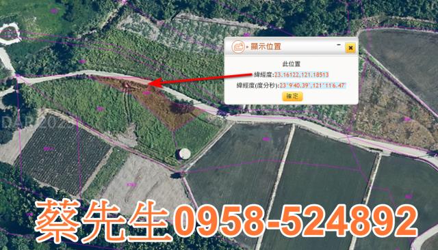 海端農地拍賣-10