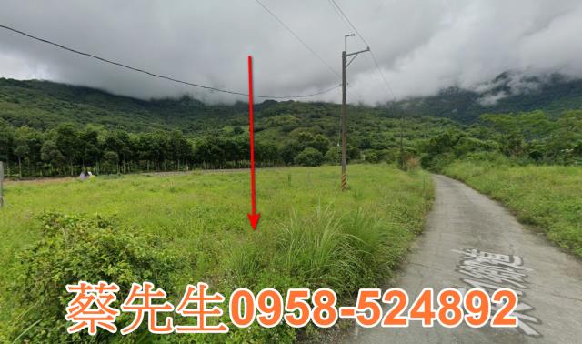 海端農地拍賣-11