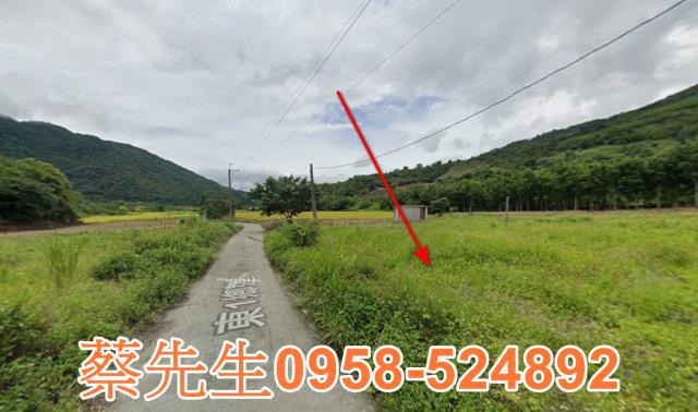 海端農地拍賣-5