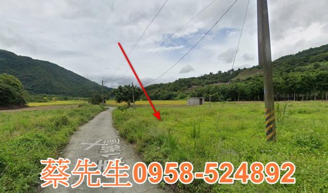 海端農地拍賣-6