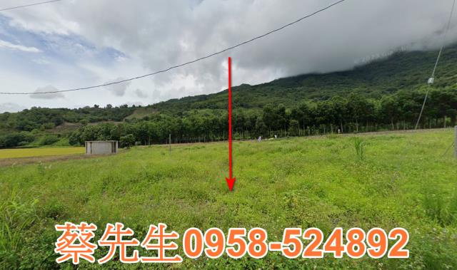 海端農地拍賣-8