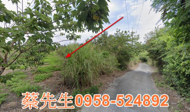 東河法拍農地-11