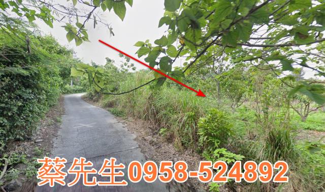 東河法拍農地-13