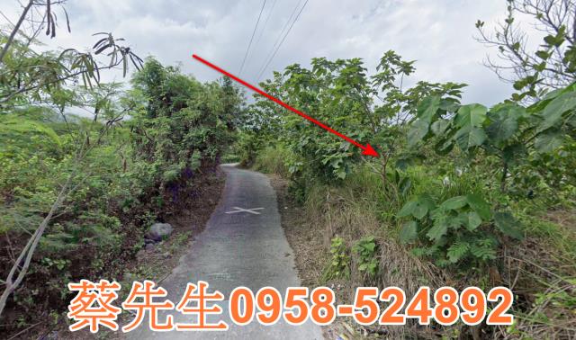 東河法拍農地-14