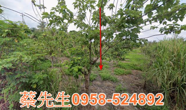 東河法拍農地-0