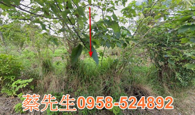 東河法拍農地-4