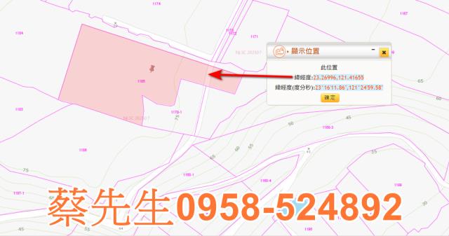 長濱農地法拍-9