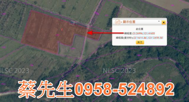 長濱農地法拍-10