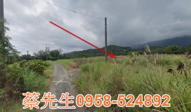 長濱農地法拍-12