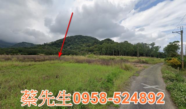 長濱農地法拍-13