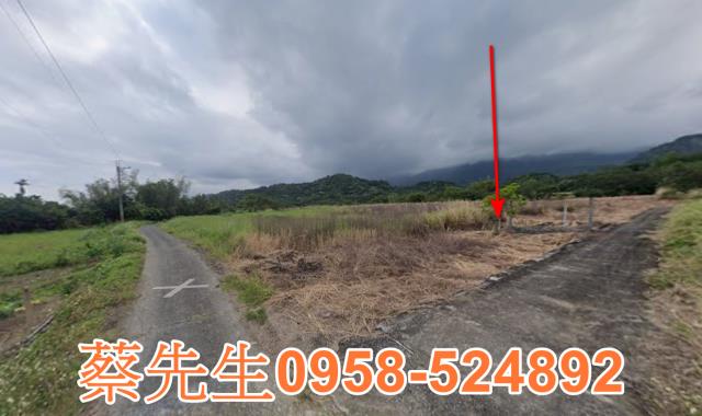 長濱農地法拍-3