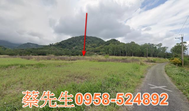 長濱農地法拍-6