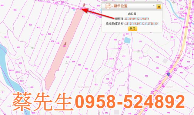 長濱農地拍賣-9