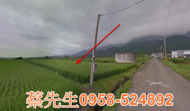 長濱農地拍賣-11