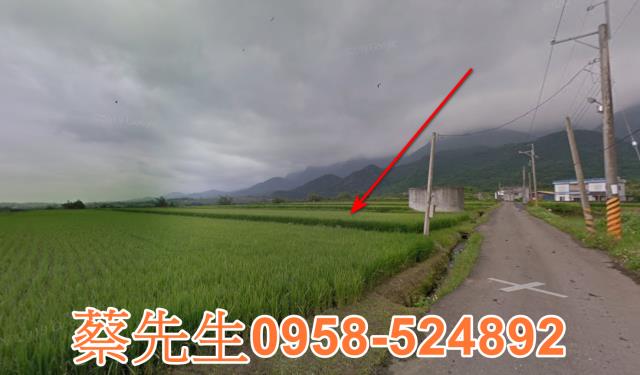 長濱農地拍賣-12