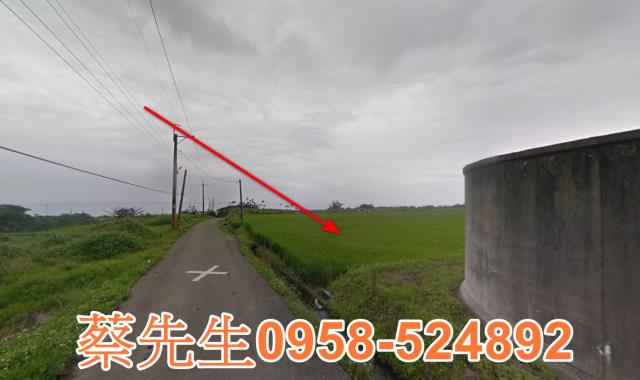 長濱農地拍賣-13