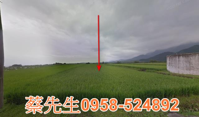 長濱農地拍賣-0