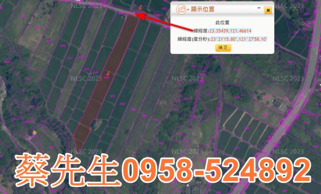 長濱農地拍賣-2