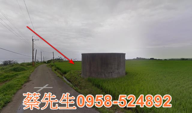 長濱農地拍賣-6