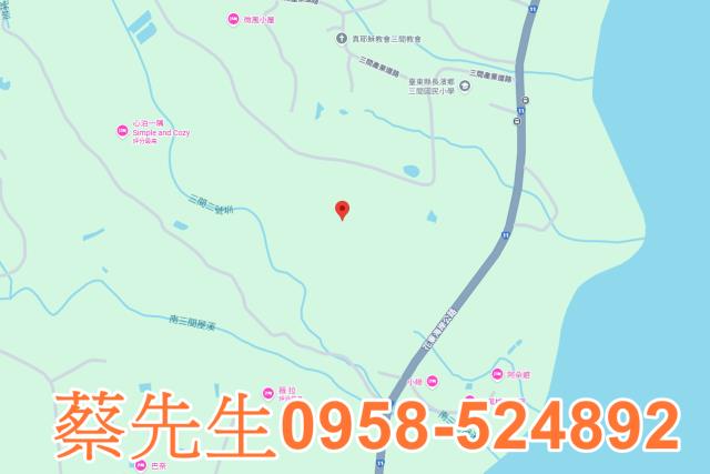 長濱農地拍賣-7