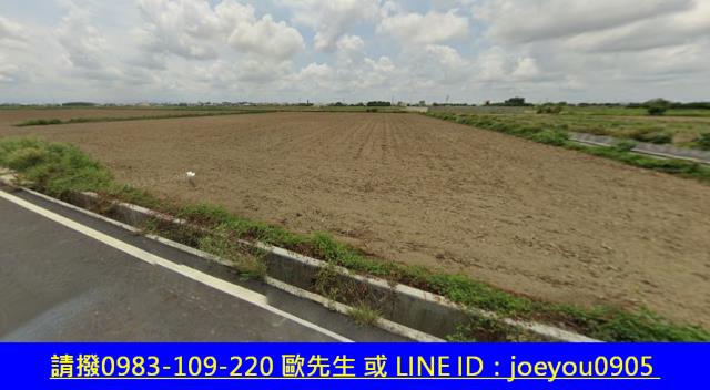 台南鹽水法拍農地-9