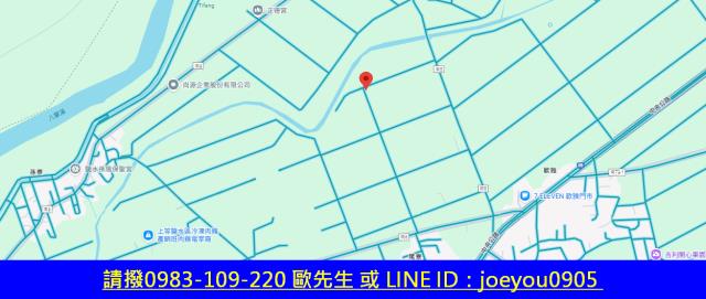 台南鹽水法拍農地-7