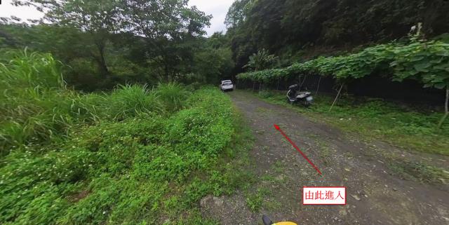 宜蘭大同農地法拍-0