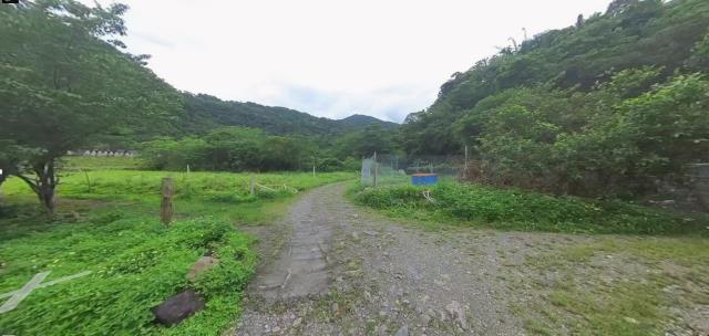 大同法拍農地-12