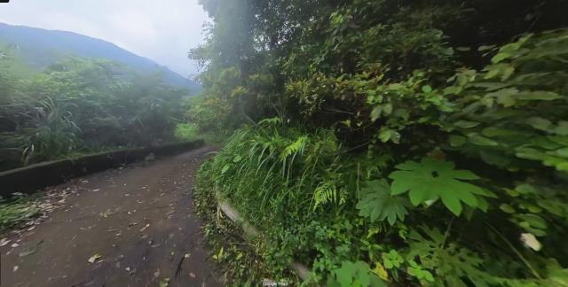 大同法拍農地-11