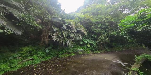 大同法拍農地-7