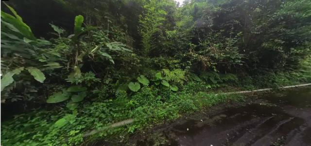 大同山坡地法拍-0