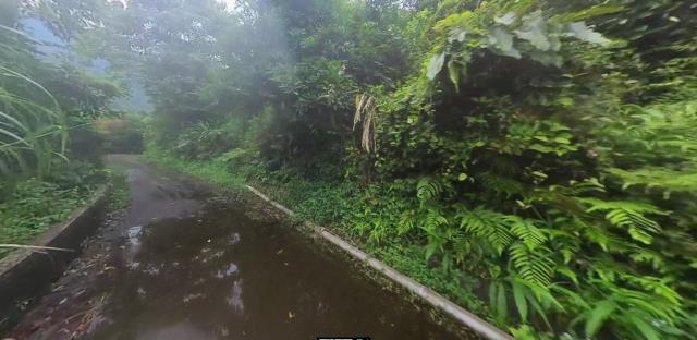 大同山坡地法拍-3