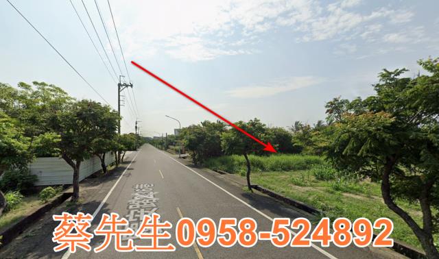 西港法拍農地-4