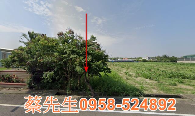 西港法拍農地-8