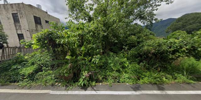 泰安農地法拍-8