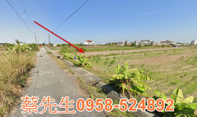 將軍農地法拍-12