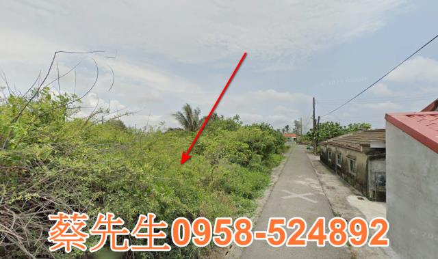 將軍建地法拍-3