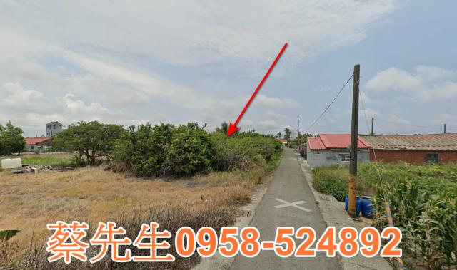 將軍建地法拍-4